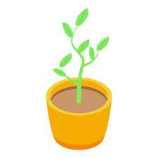 Fruit Tree Plant Pot Icon Isometric Of