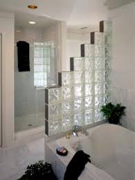 Amazing Glass Brick Shower Division