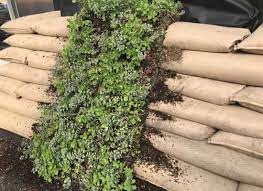 Growall Diy Vegetated Retaining Walls