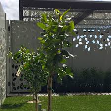 Decorative Garden Screen Panels Nz