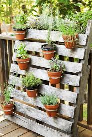 10 Best Home Garden Ideas To Enhance