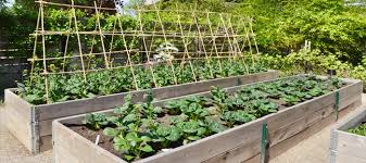Create A Raised Bed Planter