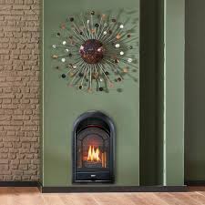 Procom Ventless Fireplace Insert Thermostat Control Arched Door 10 000 Btu