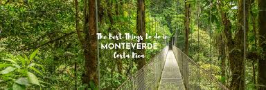 The 7 Best Things To Do In Monteverde