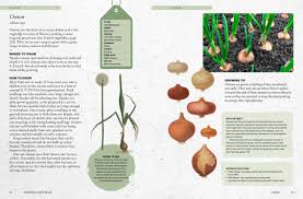 Growing Vegetables
