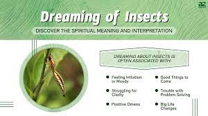 Dreaming Of Insects Discover The