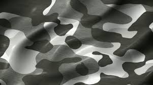 Camouflage Pattern Military Abstract