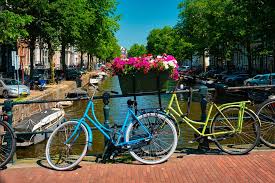 Cycling Tour Of The Netherlands 7