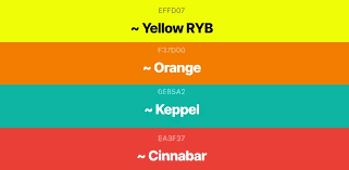 Best Color Combinations And How To Use