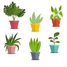 Flower Pot Vector Art Icons And