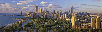 Common Types Of Trees In Chicago Il