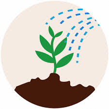 Garden Gardening Grass Nature Plant