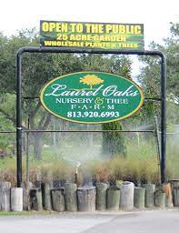 Contact Laurel Oaks Nursery Tampa