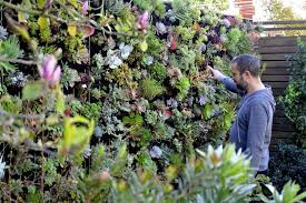 Succulent Tapestry Living Wall By