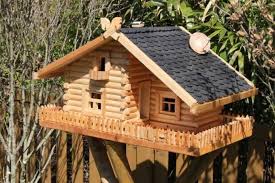 Bird House Bird Houses Diy