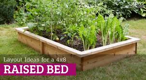 4x8 Raised Bed Vegetable Garden Layout