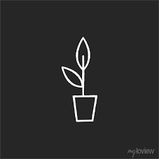 Potted Plant Chalk White Icon On Black