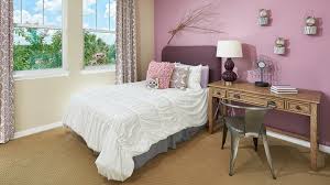 Pine Wood Trim