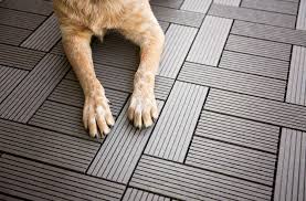 Pet Friendly Flooring Guide The