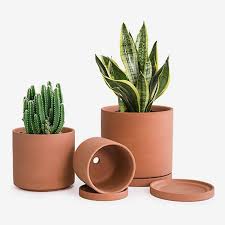 46 Best Pots And Planters On