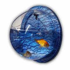 Wall Hanging Aquarium Fish Bowl Or Tank