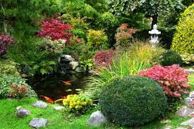 Our Japanese Garden Ideas For Beginners