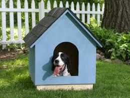 Diy Doghouse How To Build A Simple A