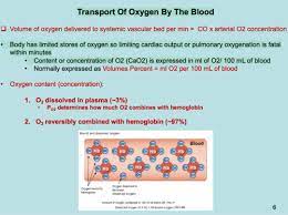 O2 Co2 In The Blood Flashcards