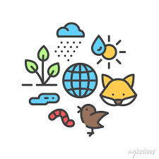 Ecosystem Color Line Icon Sustainable