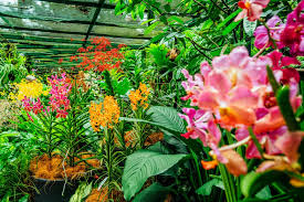 Largest Orchid Garden