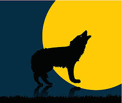Colorful Wolf Vector Png Vector Psd