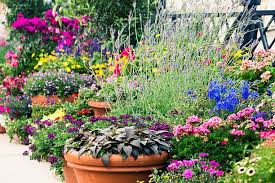 Best Container Garden Ideas How To