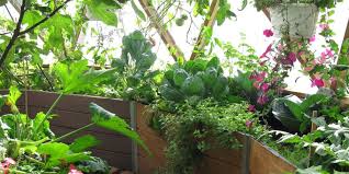 Seasonal Gardening In A Greenhouse