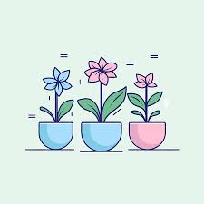 Vector Of Three Potted Plants With