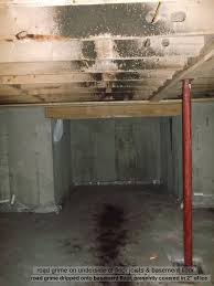 Mold Removal From Crawlspace Floor