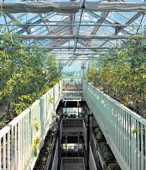 High Rise Greenhouses Open In Paris