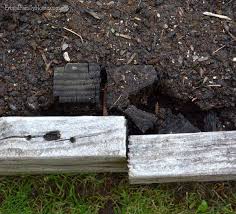 Rebuilding A Bed Garden Raised Beds