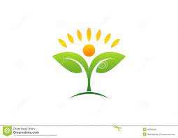 Sun Leaf Botany Ecology Symbol And Icon
