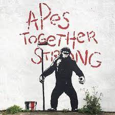 Artist Icon Apes Together Strong