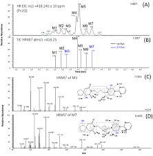 Metabolite Profiling