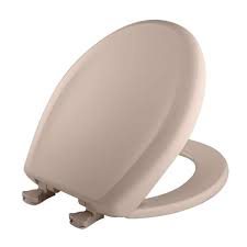 Toilet Seat In Innocent Blush Removes