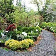 Stonewall Garden Center Canadensis