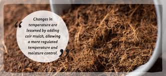 How To Start Winter Mulching Coco Coir