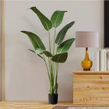 Tall Plants For Living Room Decor