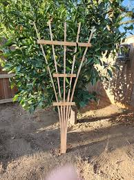 Handmade Fan Garden Trellis For In