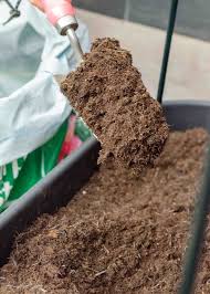Best Compost For Pots And Containers