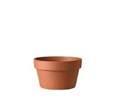 Modern Terracotta Pots Planters In