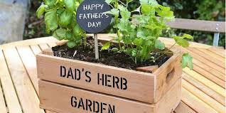 Father S Day Gift Ideas For Gardeners