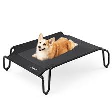 14 Superior Outdoor Dog Bed For 2023