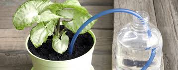 The Pros And Cons Of Self Watering Pots